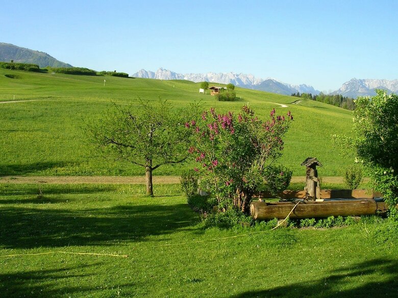 Stoibhof