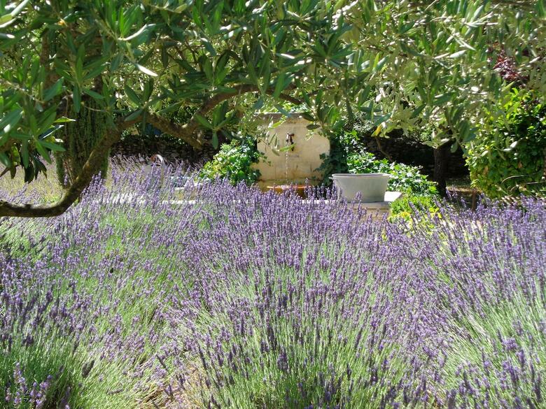 Bed & Breakfast Le Clos Des Lavandes