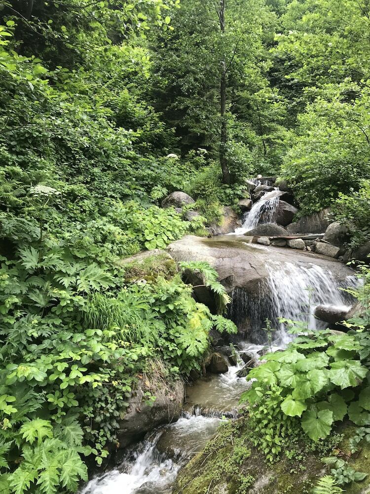 Hotel Ayder Selale Dag Evi