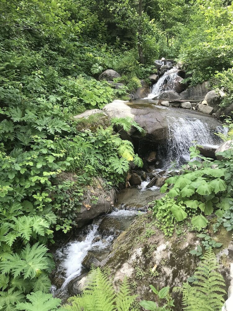 Hotel Ayder Selale Dag Evi