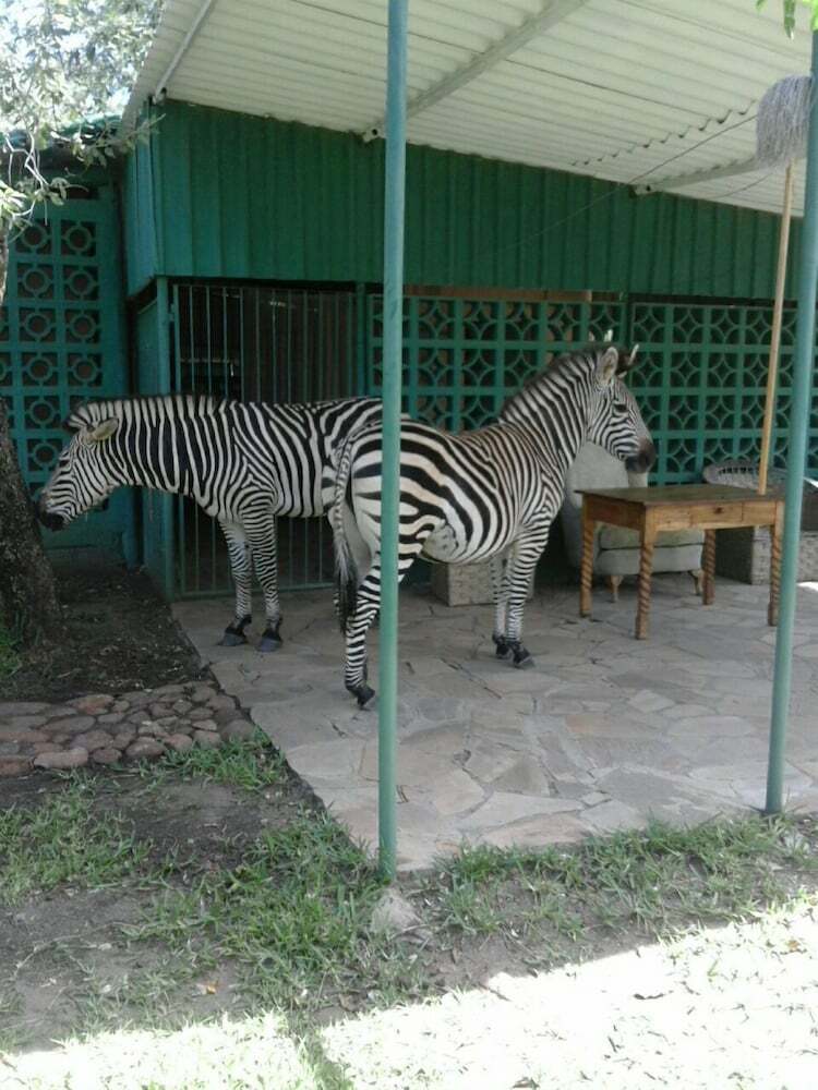 Posada Warthogs Bush Camp