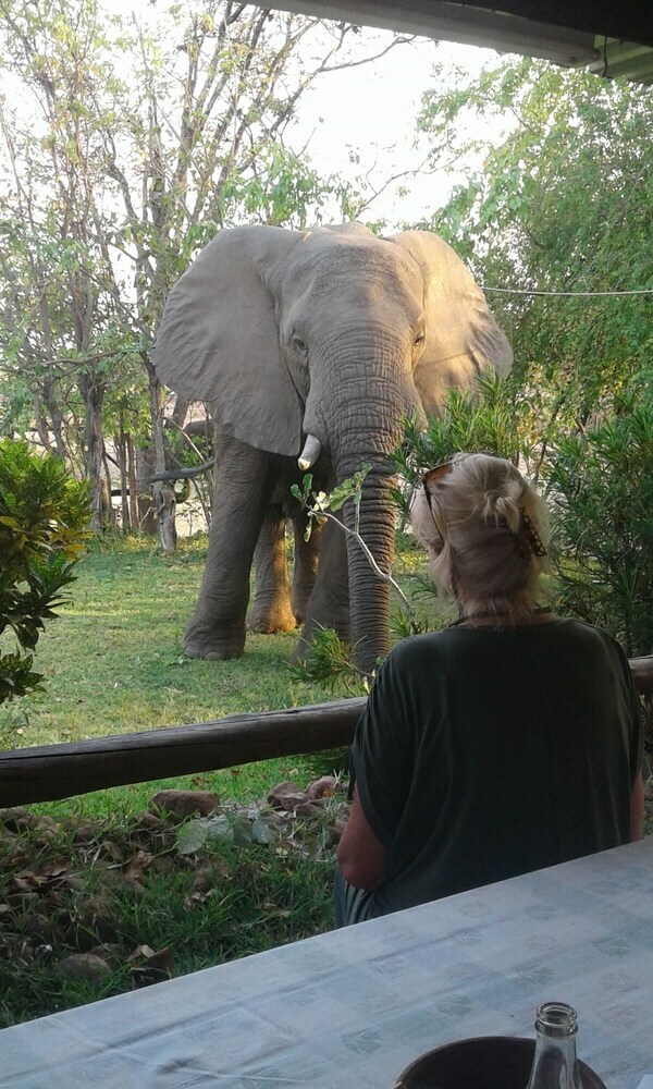 Posada Warthogs Bush Camp