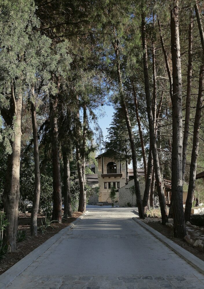 Hotel Ayii Anargyri Natural Healing Spa Resort