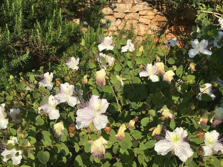 Apartamento Borgo Fiancoafianco