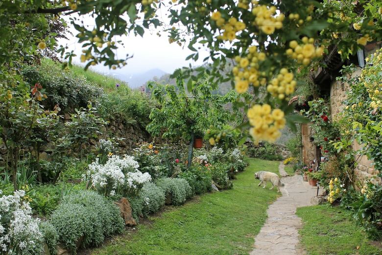 Hostal Casona De Trevi�o