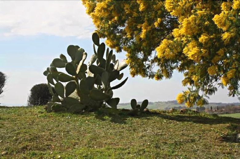Agroturismo Agriturismo Verdicchio