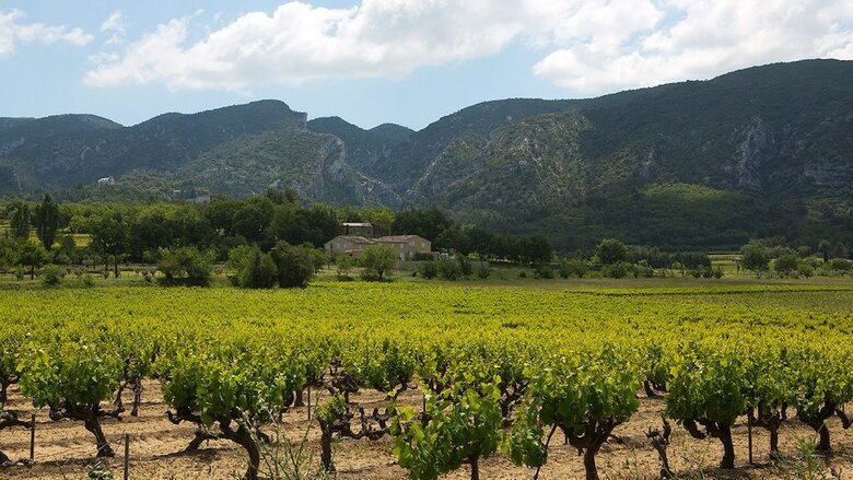 Hotel La Bastide de Voulonne