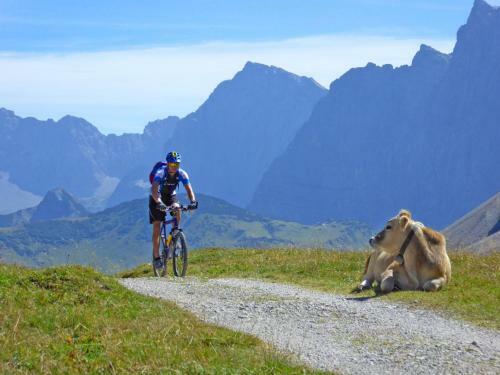Hotel Alpenhof Kr�n