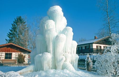 Hotel Alpenhof Kr�n