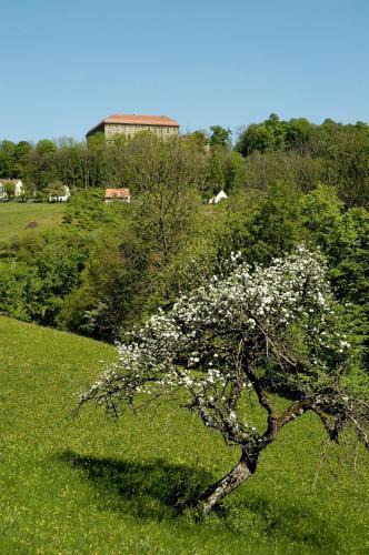 Posada Gasthof Adler