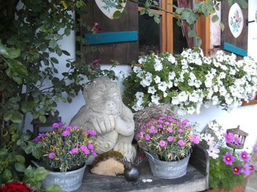 Hostal Pension Louise