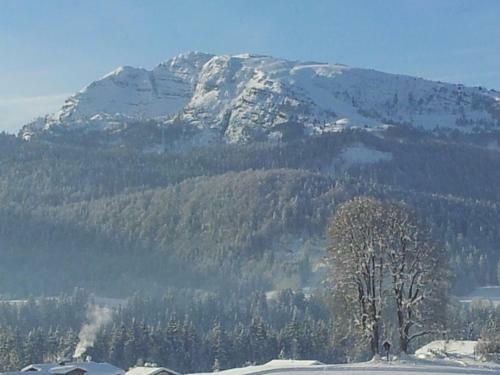 Apartamento Appartementhaus Regner