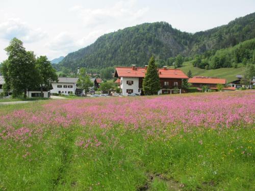 Hostal G�stehaus Bergst�berl