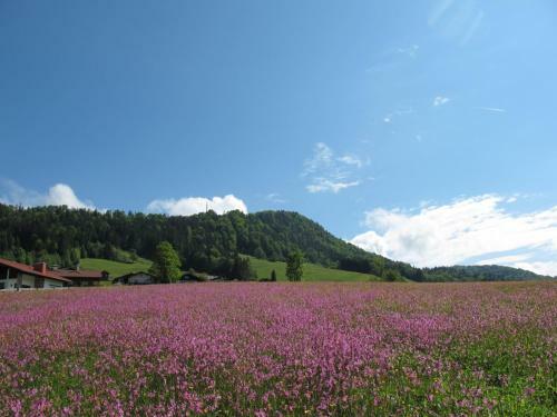 Hostal G�stehaus Bergst�berl