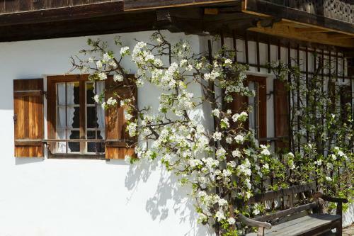 Hostal G�stehaus M�nchner Hof