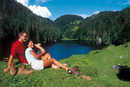 Hostal G�stehaus Hellwig