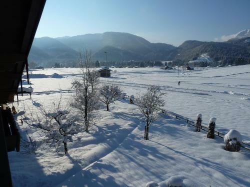 Apartamento G�stehaus Willfert