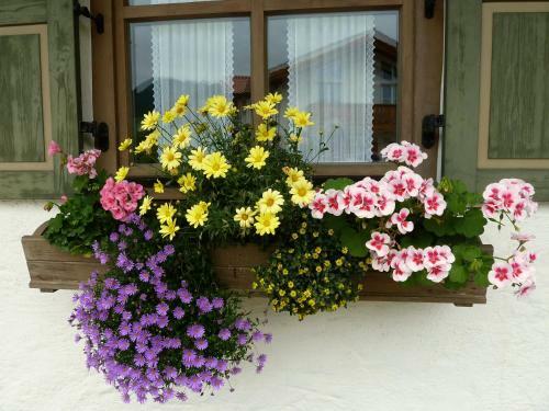Apartamento G�stehaus Willfert