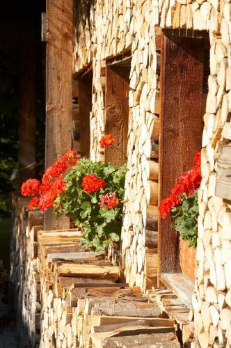 Apartamento G�stehaus Willfert