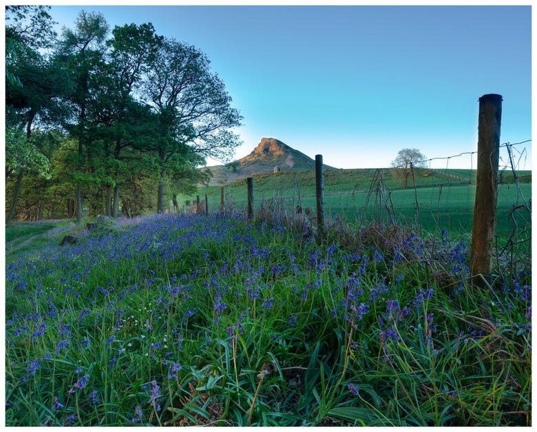The Mallyan Spout Hotel