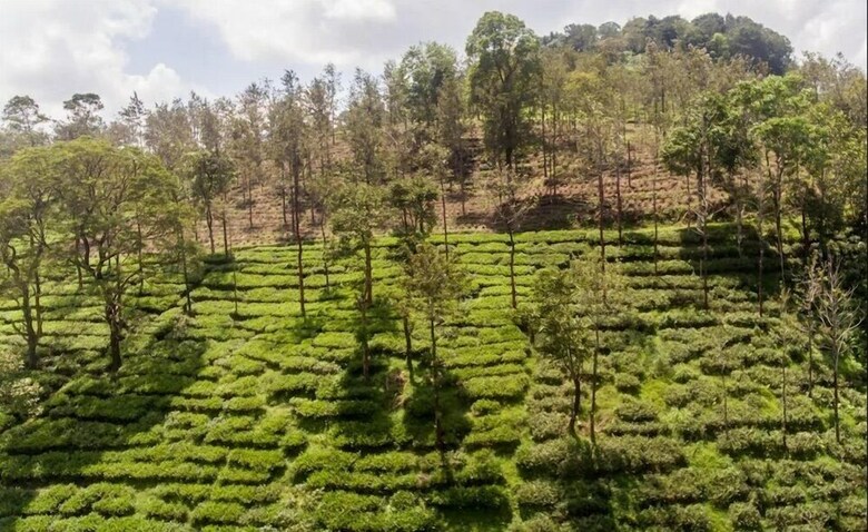 Hotel Jk Residency Kelakam