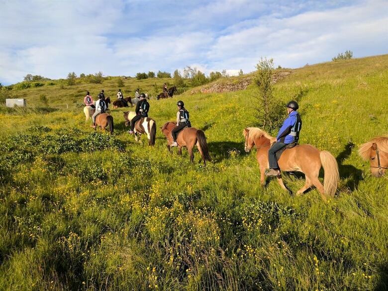 Finnssta�ir Horse Ranch