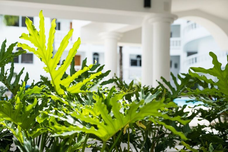 Aparthotel Ocean Palms Residences