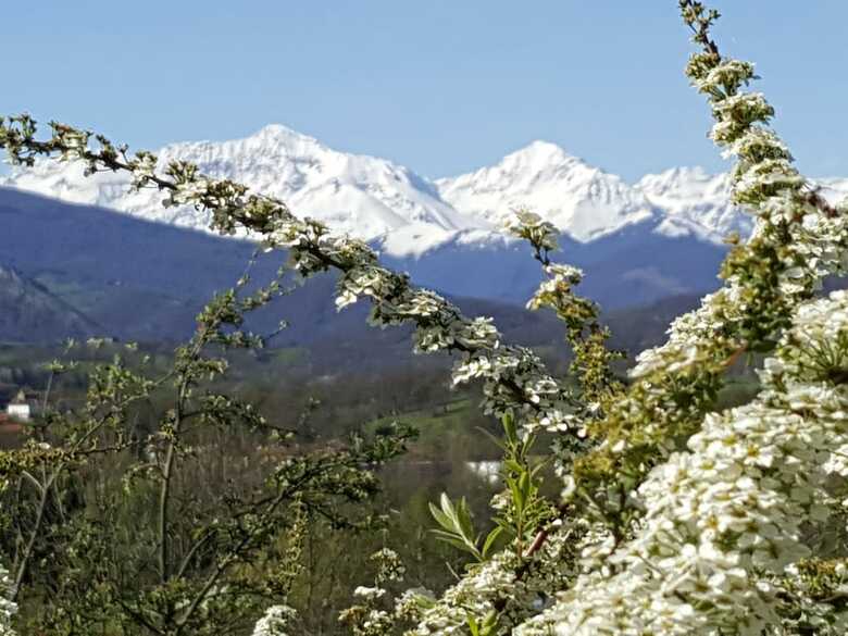 Bed & Breakfast Chambre D'h�tes St Jacques