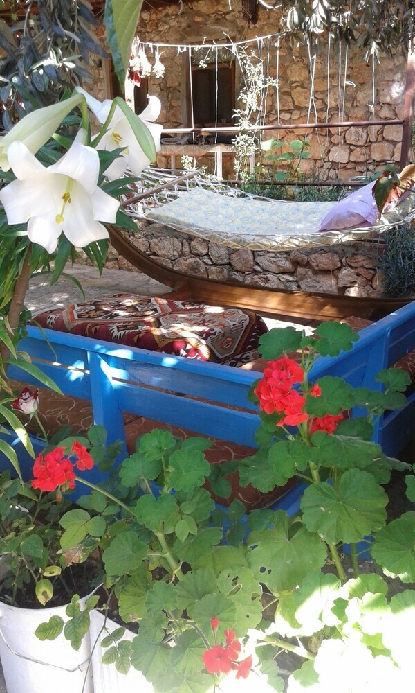 Hotel Likya Pansiyon
