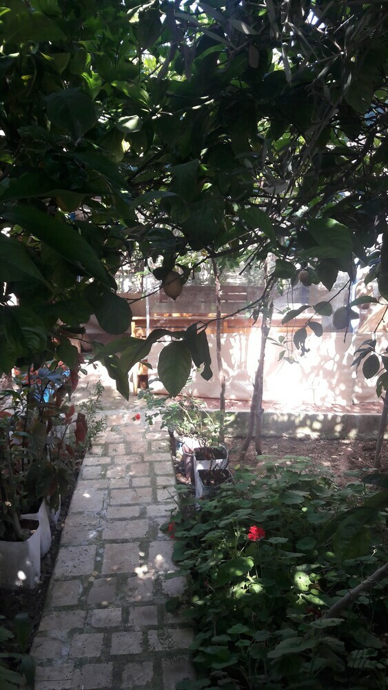 Hotel Likya Pansiyon