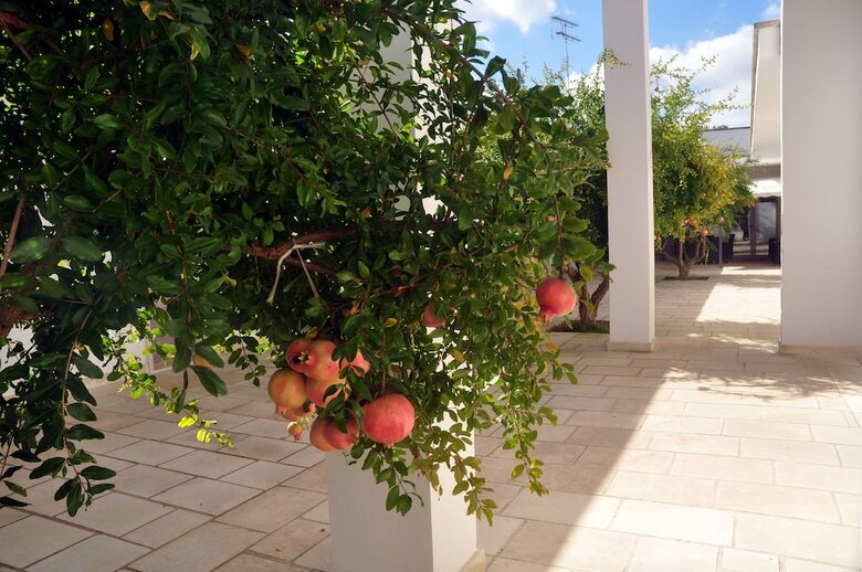 Corte Dei Melograni Hotel Resort
