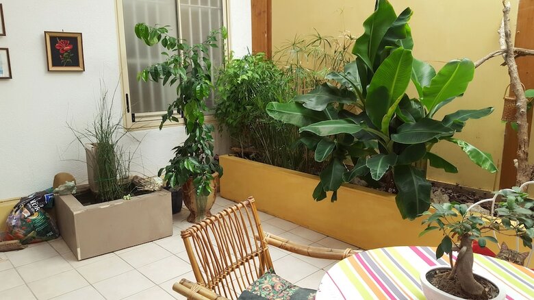 Hotel Dolphin's B&B