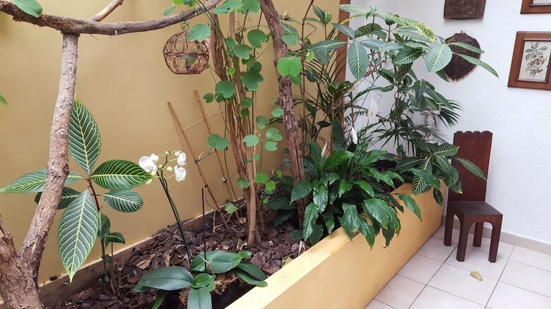 Hotel Dolphin's B&B