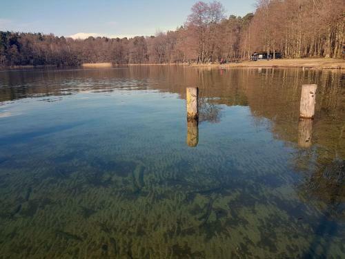 Hotel Pension Stechlinsee