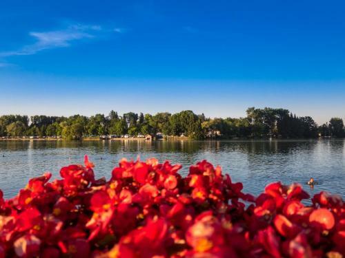 Apartamento Chiemgau Appartement