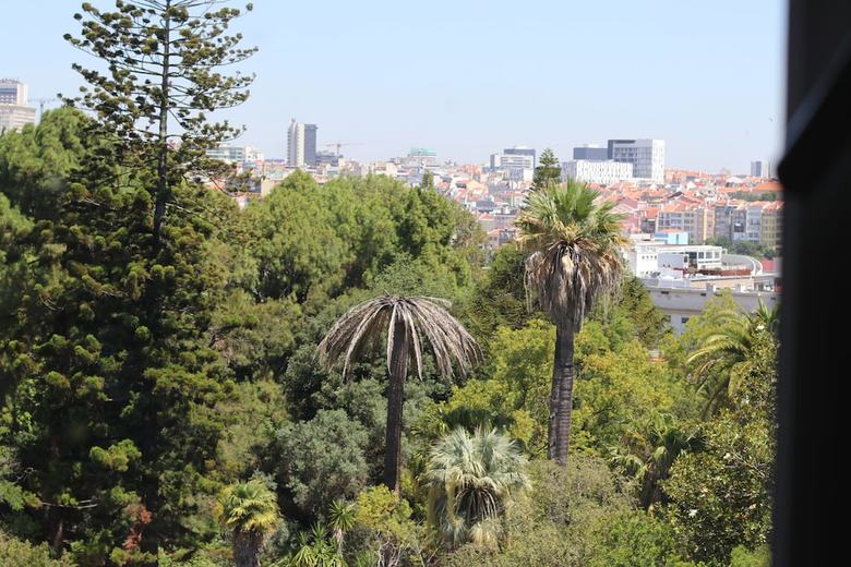 Hotel Botanic Views Guest House
