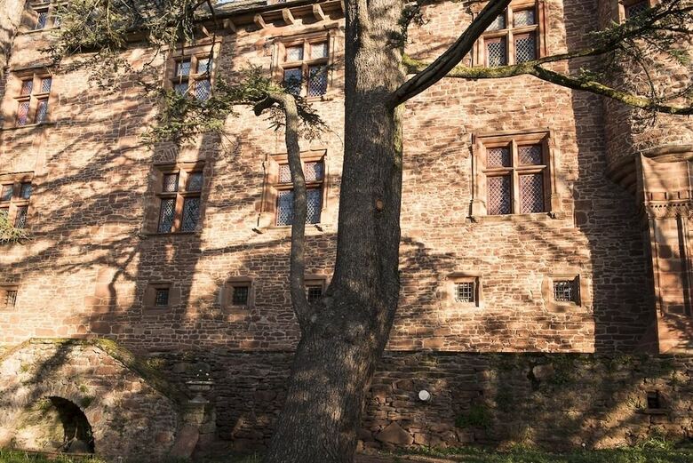 Bed & Breakfast Ch�teau De Canac