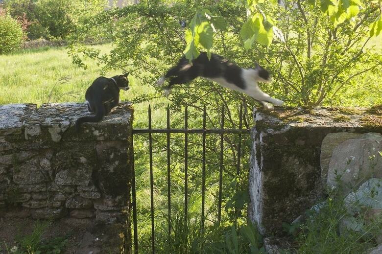 Bed & Breakfast Ch�teau De Canac