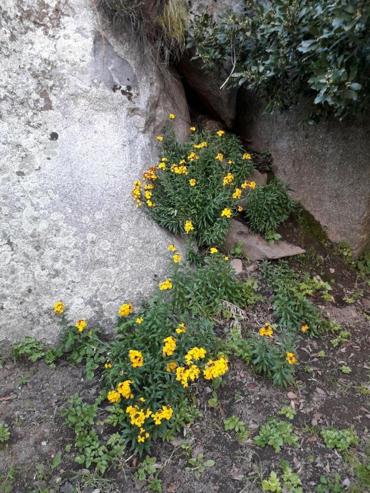 Bed & Breakfast La Collina Dei Ciliegi
