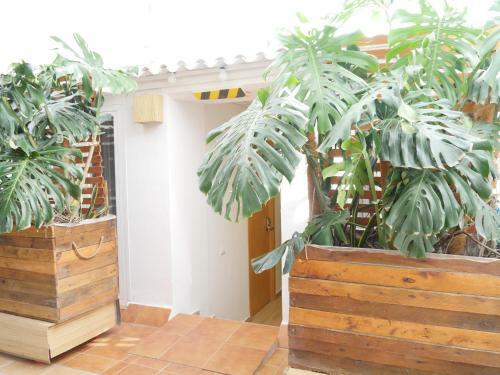 Hostal Nanit Rooms Ibiza