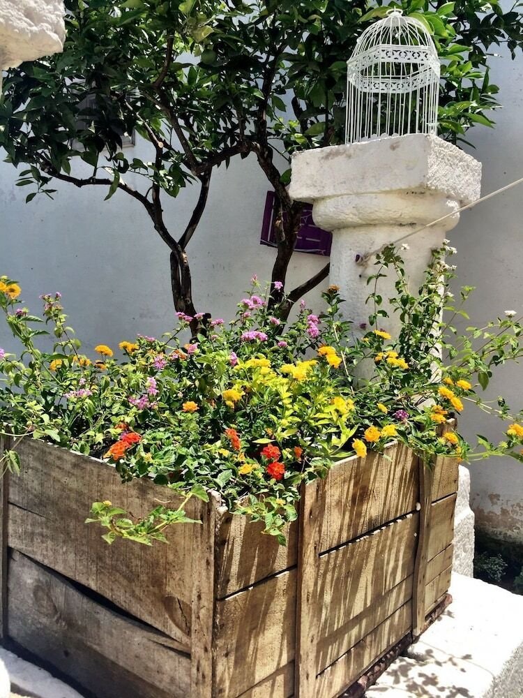 B&B Residenza Celeste