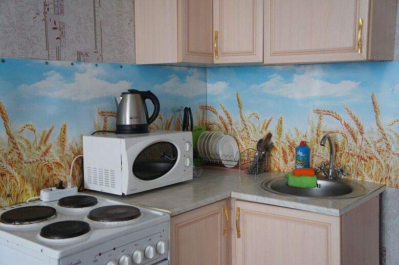 Hotel In Apartment Irkutsk