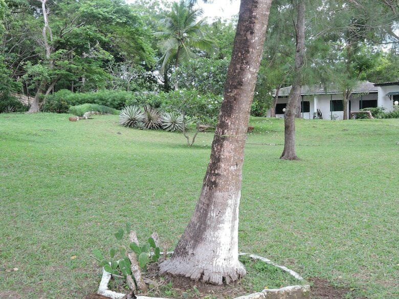 Diani Beachalets
