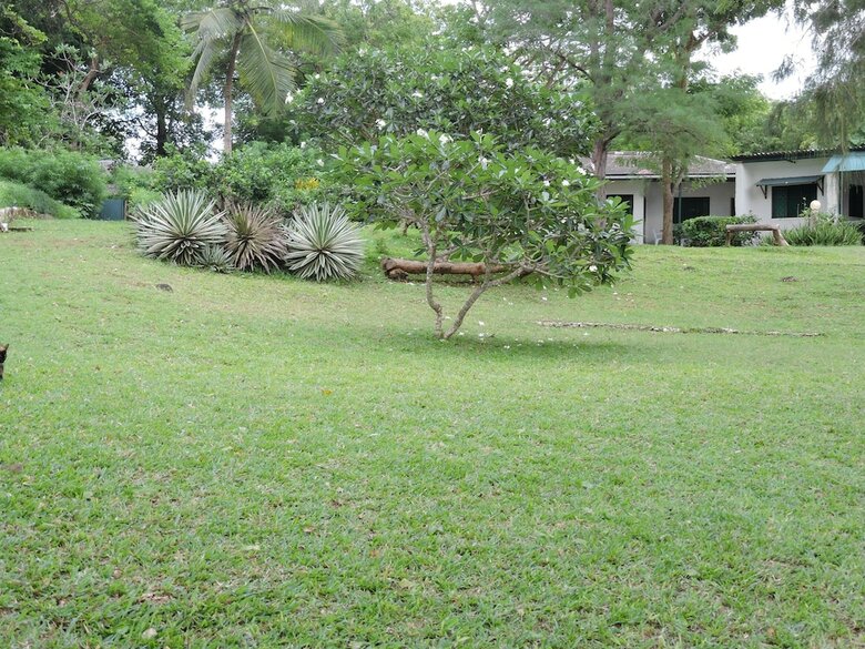 Diani Beachalets