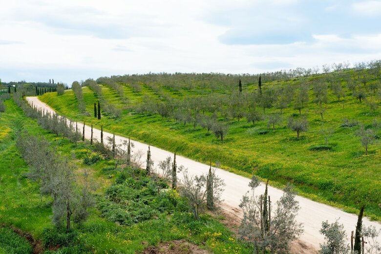 Agroturismo Il Podere Di Marfisa