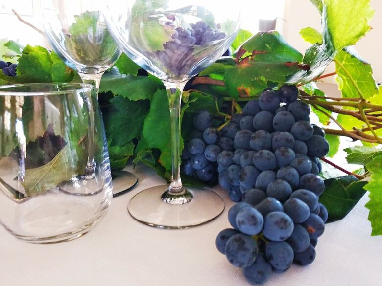 Agroturismo Il Podere Di Marfisa