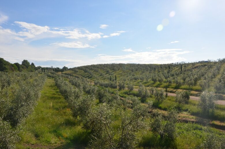 Agroturismo Il Podere Di Marfisa
