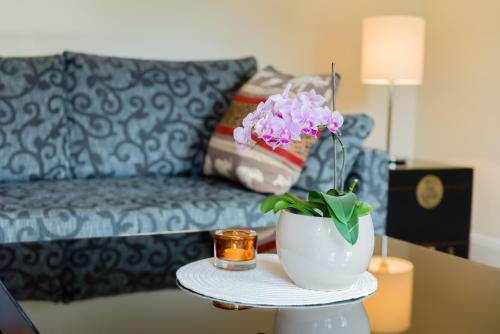 Hotel Villa Sternkopf Suiten Rittersgr�n