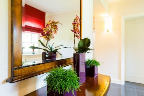 Hotel Villa Sternkopf Suiten Rittersgr�n