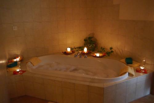 Landhotel Rittersgr�n